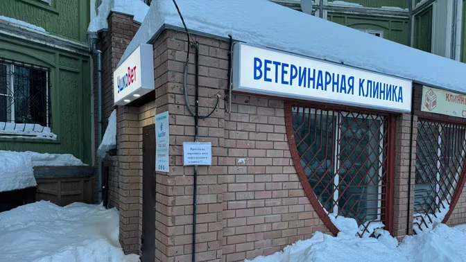 Вход в ветеринарную клинику УшкоВет на Верхне-Печёрской улице
